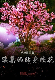 续集的贴身校花